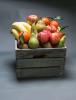 Fruit